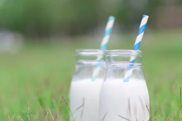 Крупный план стеклянная бутылка молока на зеленом фоне травы, питание здоровой концепции — стоковое фото