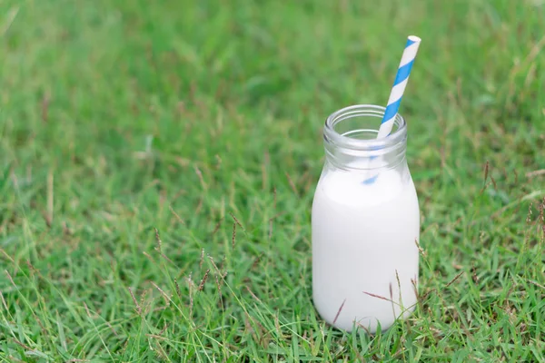 Kapalı cam süt şişesi yeşil çimen üzerinde doğa arka planı, yiyecek sağlıklı konsept — Stok fotoğraf