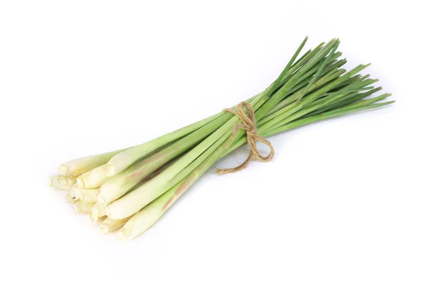 Lemon grass isolated on white background, herb and medical concept — Stock Photo, Image