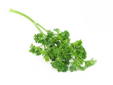 Beyaz arkaplanda yalıtılmış maydanoz sebzesi