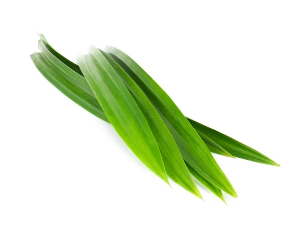 Fresh green pandan leaves isolated on white background — Stock Photo, Image