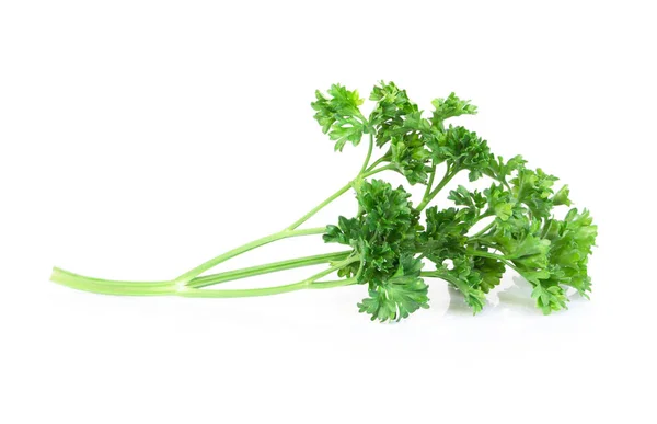 Petržel zelenina izolované na bílém pozadí — Stock fotografie