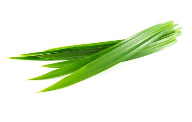 Taze yeşil pandan yaprakları beyaz arkaplanda izole edilmiş