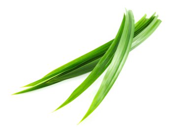 Fresh green pandan leaves isolated on white background clipart