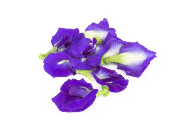 Beyaz arka plan, ot ve tıbbi kavramı kelebek bezelye çiçek