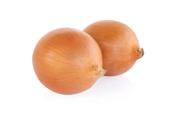 Onion Isolated White Background Raw Food — Stock Photo, Image