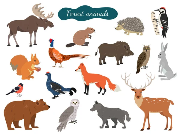 Beyaz Arka Plan Üzerinde Orman Hayvanları Kümesi Vektör Çizim — Stok Vektör