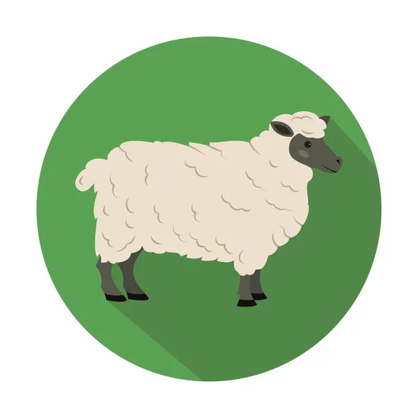 Mignon Mouton Sur Fond Vert Illustration Vectorielle — Image vectorielle