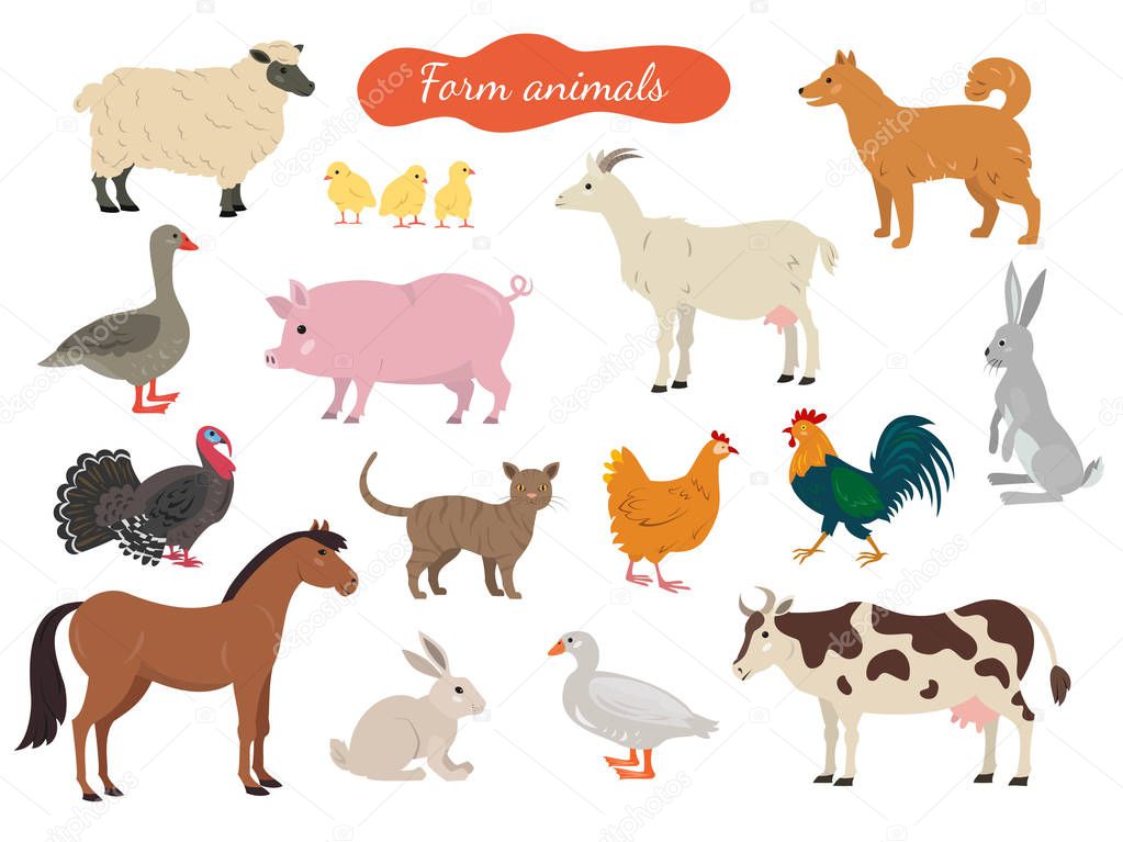 Set of farm animals on white background. Vector illustration.