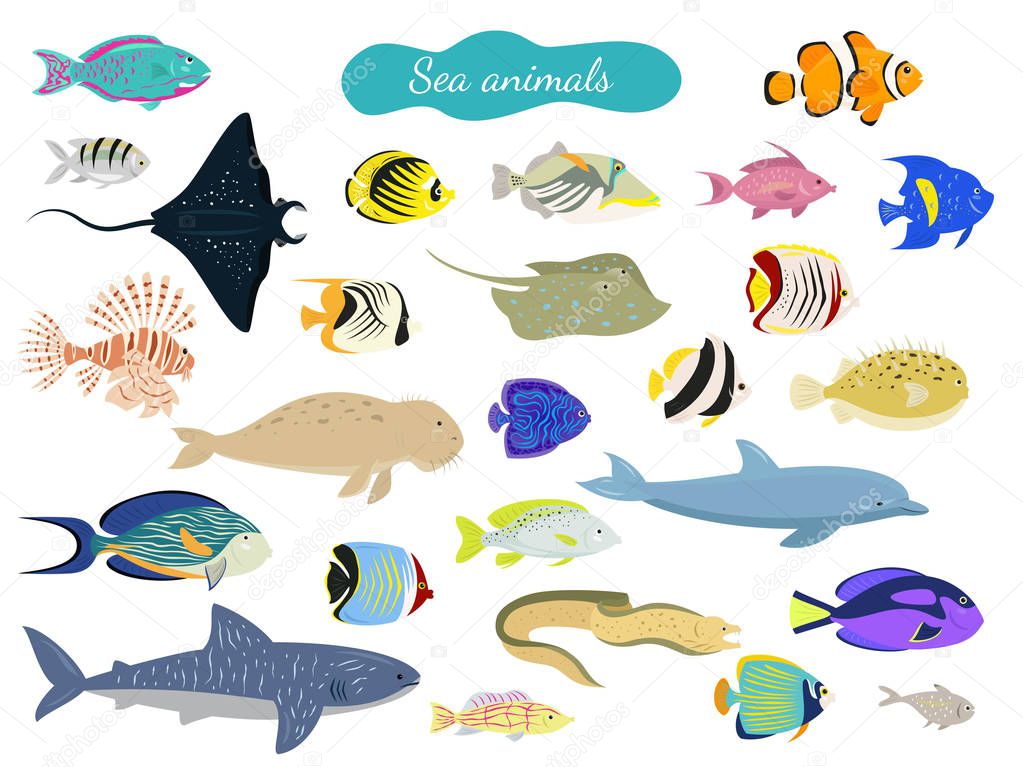 Set of cartoon sea animals on white background. Vector illustration.