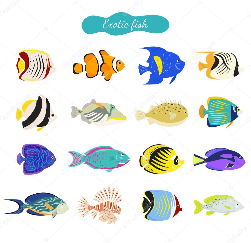 Set of cute exotic fishes on white background. Vector illustration.