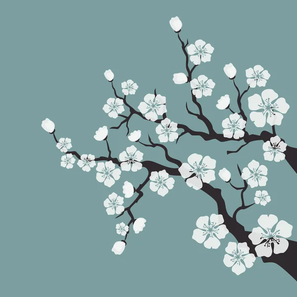 Flor de cerezo, flores de sakura sobre fondo azul . — Vector de stock