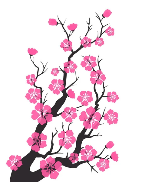 Flor de cerezo, flores de sakura . — Vector de stock