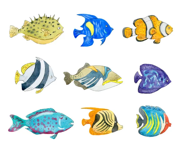 Set of cute tropical fishes on white background. — Stock Photo, Image