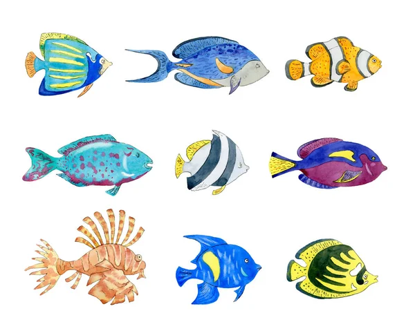 Set of cute tropical fishes on white background. — Stock Photo, Image