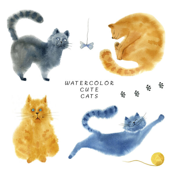 Set of cute cats on white background. 