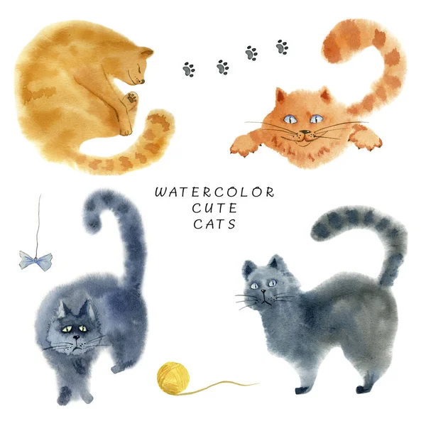 Set of cute cats on white background. — Stock Photo, Image
