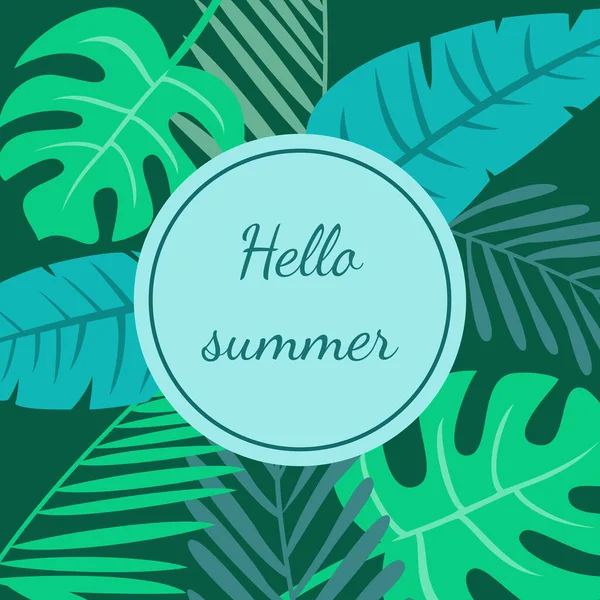Tropischer Hintergrund Mit Text Hallo Sommer Vektorillustration — Stockvektor
