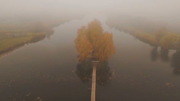 Casa de cuento de hadas en medio del lago en una antena de niebla de otoño por la mañana — Vídeo de stock