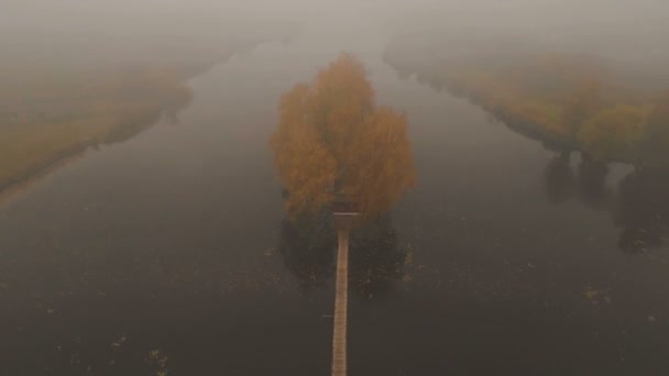 Maison de conte de fées au milieu du lac par un matin brumeux d'automne aérienne — Video