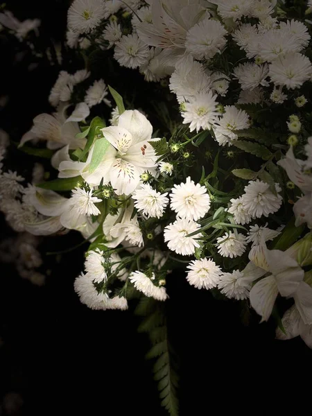 Koyu arkaplana karşı beyaz çiçeklerin güzel bir düzeni, zambakları ve kasımpatıları hassas bir kompozisyonda vurguluyor. Yumuşak ışık, taç yaprağının dokusunu ve çeşitliliğini artırır. Huzur ve zarafeti çağrıştırır..