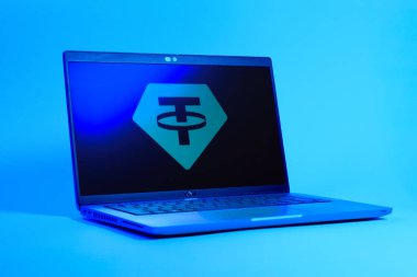 Prag, Çek Cumhuriyeti - 05: 18 2025: Bağlantı logosunu gösteren dizüstü bilgisayarın düşük açılı görüntüsü. Bağlayıcı, ABD dolarına bağlı dijital bir kripto para birimi..