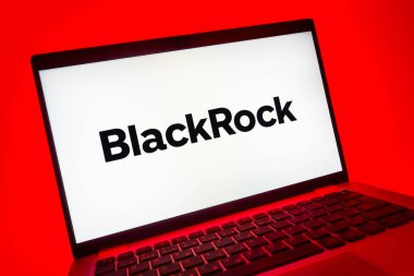 Prag, Çek Cumhuriyeti - 08 01 2025: BlackRock logosunu gösteren dizüstü bilgisayarın yakın görüntüsü. BlackRock küresel bir yatırım yönetim şirketidir..