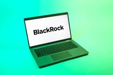 Prag, Çek Cumhuriyeti - 08 12 2025: BlackRock logosunu gösteren bir dizüstü bilgisayarın tepeden aşağı görüntüsü. BlackRock küresel bir yatırım yönetim şirketidir..