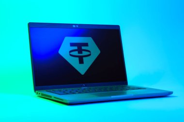 Prag, Çek Cumhuriyeti - 05: 18 2025: Bağlantı logosunu gösteren dizüstü bilgisayarın düşük açılı görüntüsü. Bağlayıcı, ABD dolarına bağlı dijital bir kripto para birimi..