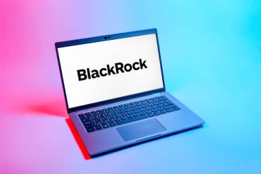 Prag, Çek Cumhuriyeti - 08 12 2025: BlackRock logosunu gösteren bir dizüstü bilgisayarın tepeden aşağı görüntüsü. BlackRock küresel bir yatırım yönetim şirketidir..