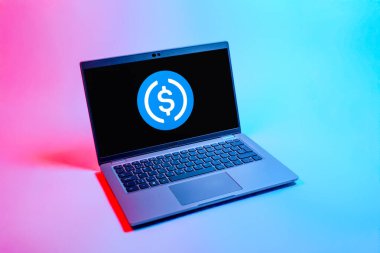 Prag, Çek Cumhuriyeti - 08 12 2025: USD sikke logosunu gösteren bir dizüstü bilgisayarın tepeden aşağı görüntüsü. USD bozuk para, Amerikan dolarına endeksli bir kripto para birimi..