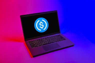 Prag, Çek Cumhuriyeti - 08 12 2025: USD sikke logosunu gösteren bir dizüstü bilgisayarın tepeden aşağı görüntüsü. USD bozuk para, Amerikan dolarına endeksli bir kripto para birimi..