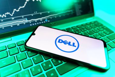 Prag, Çek Cumhuriyeti - 09 02 2025: Dell 'in logosunu gösteren dizüstü bilgisayarlı telefon. Dell bilgisayar ve bilişim çözümleri üreten bir teknoloji şirketidir..