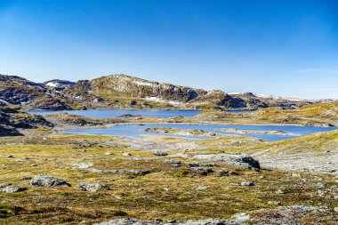 Norveç 'teki Hardangervidda Dağı' nın güzel manzarası. Kayalık arazisi, dağlık gölleri ve karla kaplı zirveleri olan Kuzey yabanı. Popüler yürüyüş ve açık hava macera merkezi.