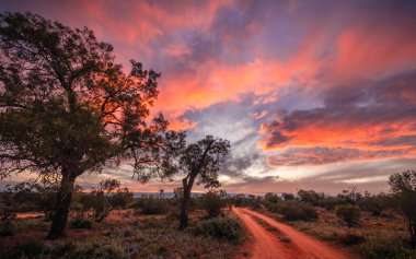 Pink clouds at sunrise highlight a dirt track as it crosses dry terrain with drought tolerant scrub and trees at Lake Bindegolly National Park near Thargomindah in South West Queensland, Australia.