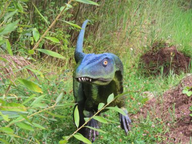 Jura Park Krasiejow. Polonya. 6.09.2025. Ormanda dinazor modeli. Açık ağızlı ve keskin dişli mavi ve yeşil iki ayaklı tarih öncesi sürüngen eğitim sergisinde sergileniyor..