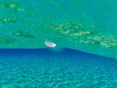 Açık turkuaz deniz manzaralı su altı manzarası, kumlu zeminde güneş ışığı desenleri ve yüzey dalgaları doğal dokular yaratıyor.