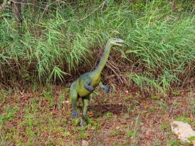 Jura Park Krasiejow. Polonya. 6.09.2025. Ormanda dinazor modeli. Açık hava eğitim sergisinde yeşil ve mavi iki ayaklı tarih öncesi sürüngen..