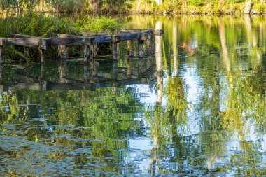 Old wooden pier on calm lake surrounded by lush greenery. Water reflects trees and sunlight. Serene natural scene perfect for relaxation, travel and countryside concepts.