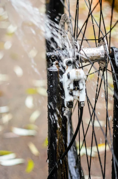 Dağ bisikleti bir su jeti ile yakın çekim yıkama. Ön fren alanı. Beyaz renk ön fren Kaliper