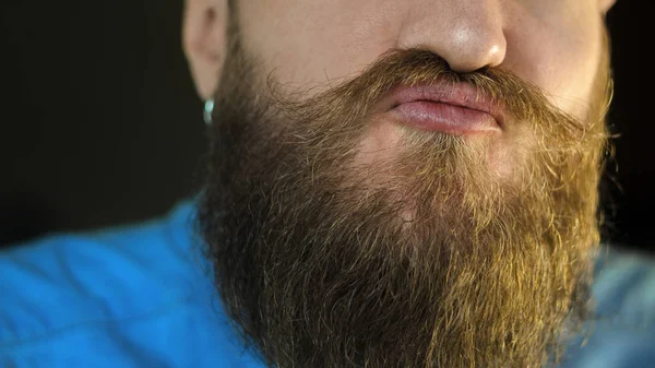 流行に敏感な男性の外観の属性 口ひげとあごひげをクローズ アップ サルを演じるひげを生やした男の肖像 — ストック写真