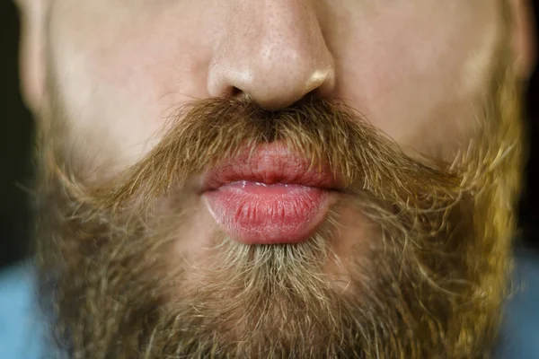 Lábios Para Beijo Homem Barbudo Atributos Aparência Hipster Masculino Bigode — Fotografia de Stock
