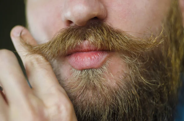 Hombre Barbudo Con Una Camisa Mezclilla Azul Girando Bigote Con —  Fotos de Stock