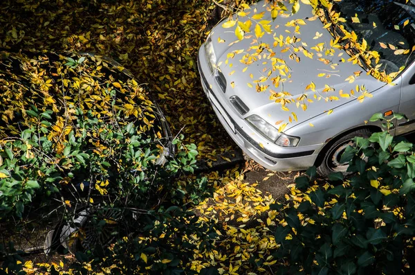 Graues Auto Mit Gelbem Laub Bedeckt Draufsicht Saisonkonzept — Stockfoto