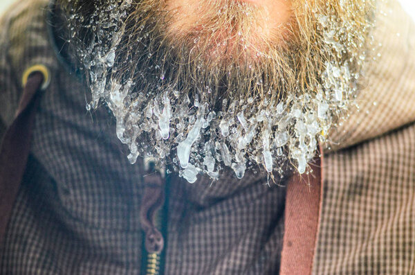 Frozen beard with hanging icicles close up background. Frosty harsh winter concept.