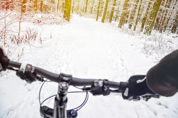 First Person View Cyclist Winter Forest Wnter Mountain Bike Concept — Stock Photo, Image