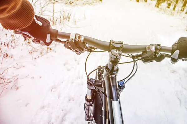 First Person View Cyclist Winter Forest Wnter Mountain Bike Concept — Stock Photo, Image