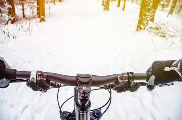 First Person View Cyclist Winter Forest Wnter Mountain Bike Concept — Stock Photo, Image