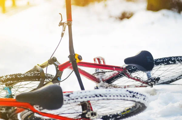 Two Bike Extreme Riding Lie Snow Covered Forest Winter Mountain — Stock Photo, Image