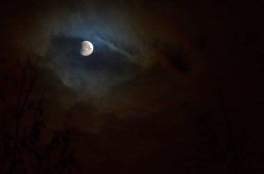 Ay tutulması full moon. Süper mavi kanlı ay ağaç siluet gece gökyüzü arka plan üzerinde üzerinde. Ay tutulması başlangıcı. Dünya'nın gölge aya düşüyor
